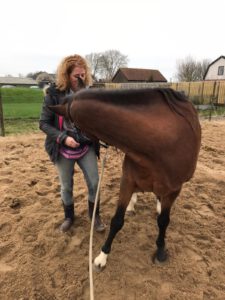Behandeling en beweging